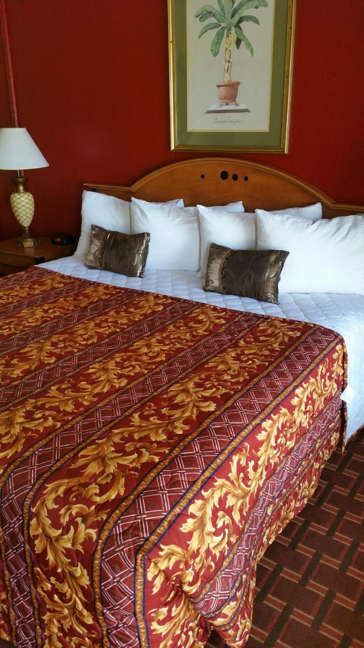 Palms Inn Dania Beach Eksteriør billede